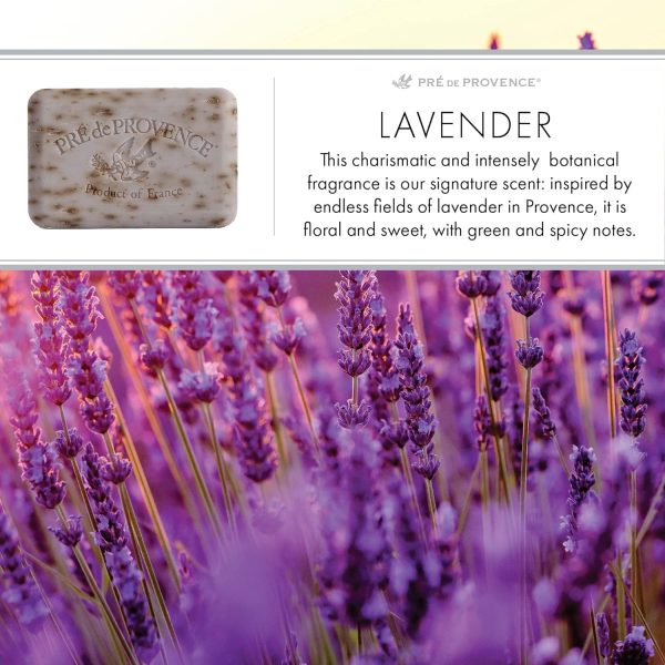 Pre de Provence Artisanal French Moisturizing Soap Bar, Shea Butter - Image 5
