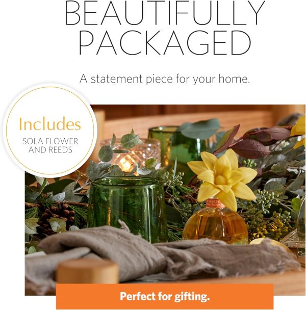 AGRARIA PetiteEssence Flower and Reed Diffuser Set, Hand Crafted Sola - Image 2