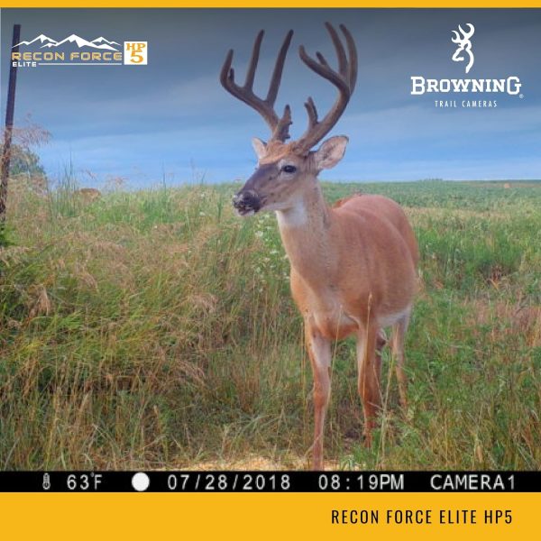 Browning Trail Cameras Recon Force Elite HP5 - BTC-7E-HP5 - Game Camera, - Image 6
