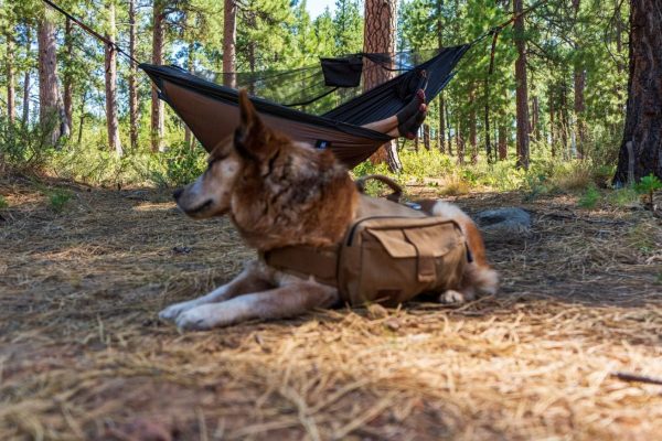OneTigris Hideout Hammock Underquilt, Full Length Lightweight 4 Season - Image 9