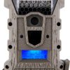 trail cameras