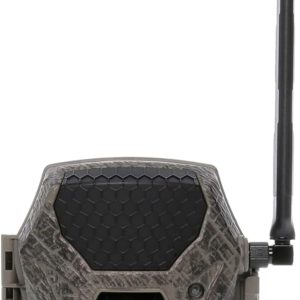trail cameras